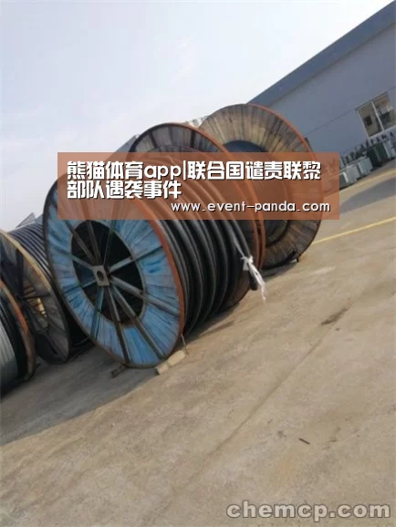 熊猫体育app|联合国谴责联黎部队遇袭事件(图3) 熊猫体育官网