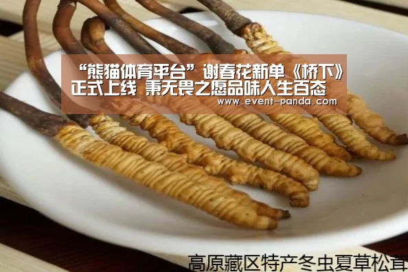 熊猫体育